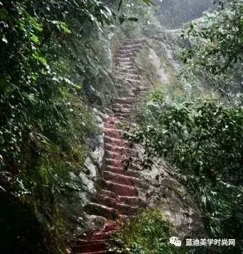 四個天梯,選一個你敢走的,測出你十年後的社會地位