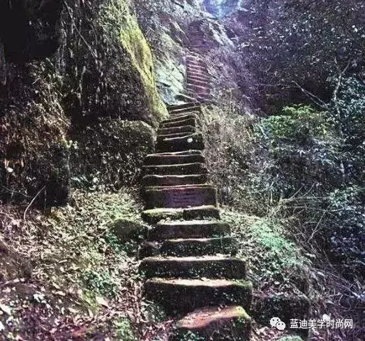 四個天梯,選一個你敢走的,測出你十年後的社會地位