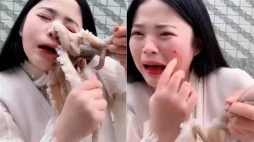 生吃章魚反被吻!50秒眼皮遭「撕下」 主播崩潰:臉破了 【內附視頻】
