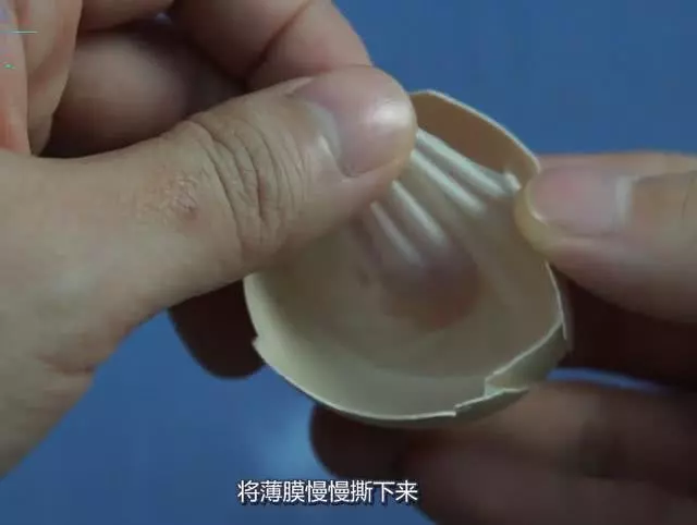 扔雞蛋殼等於扔錢!它的這幾個妙用,超市裡花錢也買不到,快收藏!