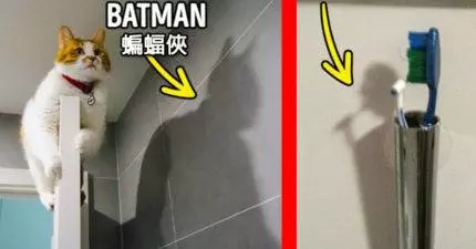 27張揉到眼睛都瞎了還是看錯的「驚奇視覺錯覺照片」!