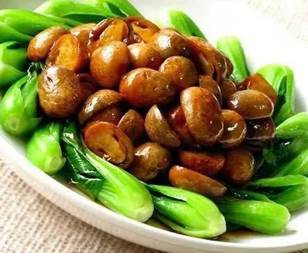 十道全素食譜,做法簡易,取材容易,是準備素食家常菜的最佳參考!