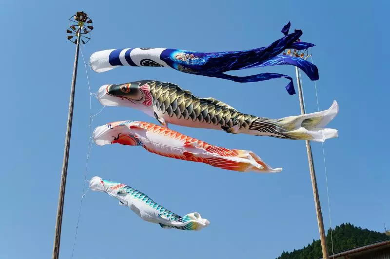 日本又有神創意! 「水裡掛鯉魚旗」引起各國網友讚:想去朝聖啊