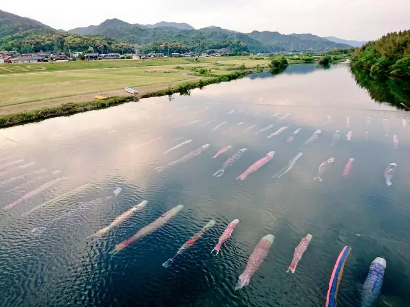 日本又有神創意! 「水裡掛鯉魚旗」引起各國網友讚:想去朝聖啊