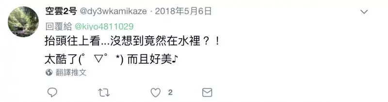日本又有神創意! 「水裡掛鯉魚旗」引起各國網友讚:想去朝聖啊