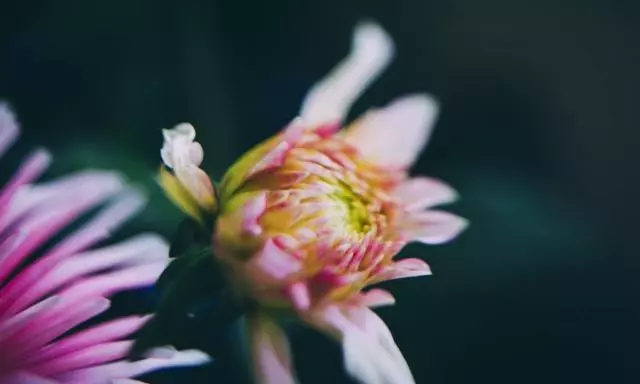 12星座中,誰鬧情緒最難安撫?