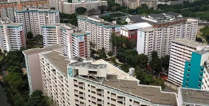 《新加坡》租房生意?奉勸大家別玩了,政府將一對一核實