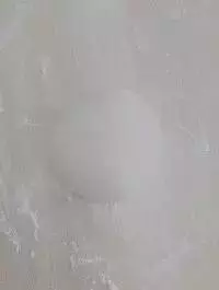 八款素菜包子的新做法,學會都能開包子鋪啦!