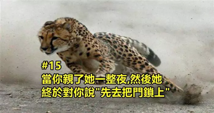 17張網友分享的幽默圖片