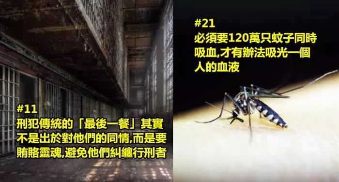 22個讓你想破頭腦都不知道的事實