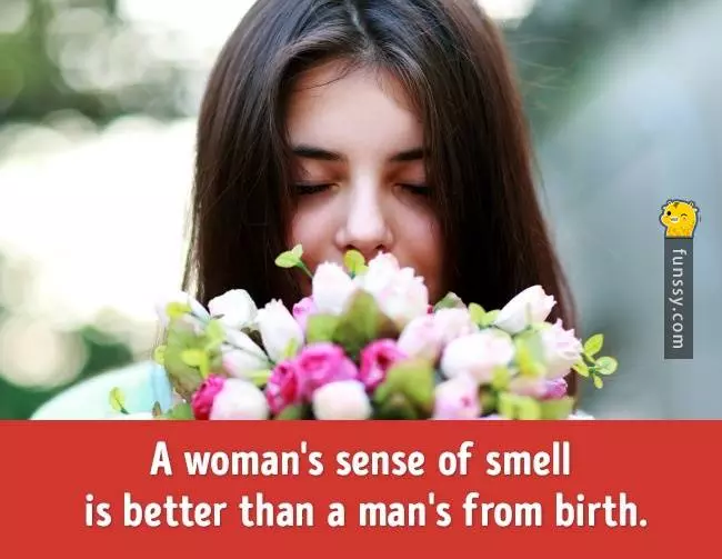 14點幫助你了解女性身體各構造與男生的不同之處