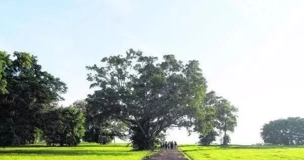 最新!新加坡又要建一新花園,這區房價目測要漲漲漲