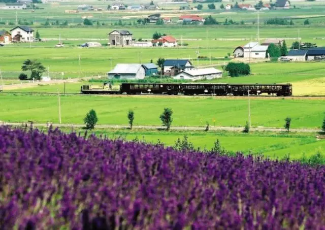 日本10大軌道列車——一場絕景震撼之旅
