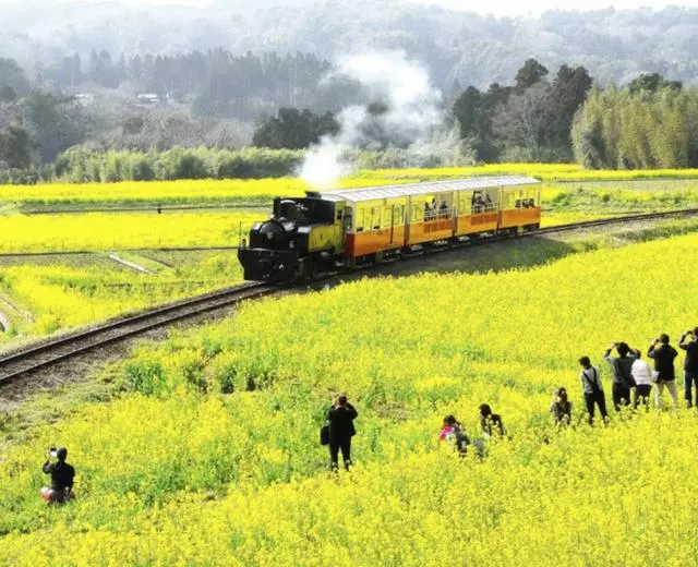 日本10大軌道列車——一場絕景震撼之旅