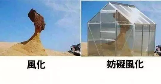 20有趣的梗圖,不得不佩服網友的創意
