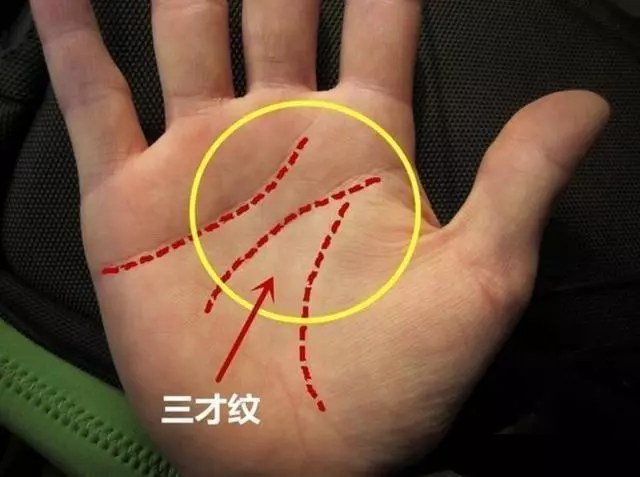 可遇而不可求的手相,一輩子富貴壽全,看看你有沒有