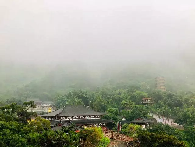 真正的消災祈福,是修身改過