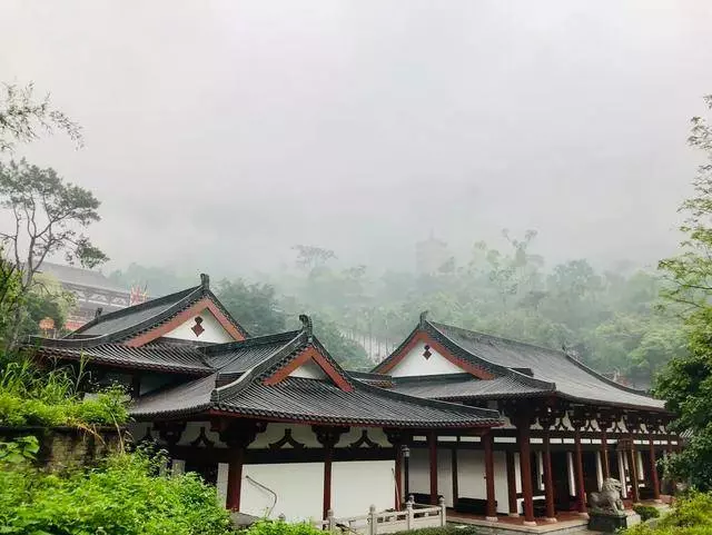 真正的消災祈福,是修身改過