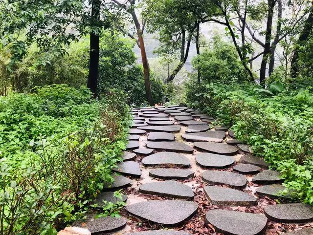真正的消災祈福,是修身改過