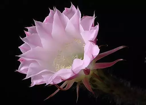 你的出生時辰註定了你是什麼命,看看你是天生勞碌命,還是天生富貴命