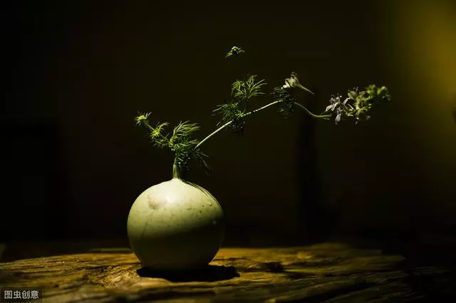 人生,努力的意義是什麼?是為了看到更大的世界!