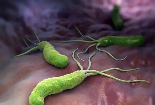 幽門螺桿菌「最怕」這6種食物,經常多吃點,幫你養好胃,趕走胃病和口臭