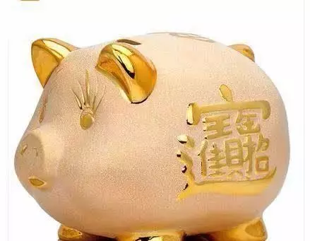生肖豬:大智若愚者,知世故卻不世故,活得很通透