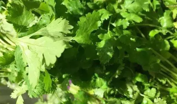 不打農藥的7種蔬菜可以放心吃,下次買菜記好為家人收好
