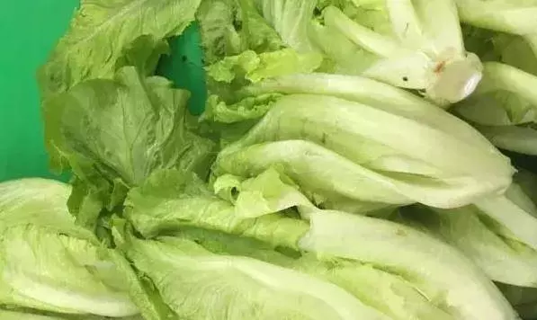 不打農藥的7種蔬菜可以放心吃,下次買菜記好為家人收好