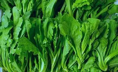 不打農藥的7種蔬菜可以放心吃,下次買菜記好為家人收好