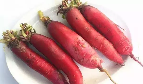 不打農藥的7種蔬菜可以放心吃,下次買菜記好為家人收好