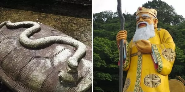 夢到蛇「請一定要做這件事」民俗專家揭秘:找祂將會發大財!