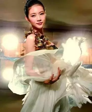 23歲因孫儷成名,在坐月子卻慘遭家暴!年僅27離世,一生坎坷乏人問津!