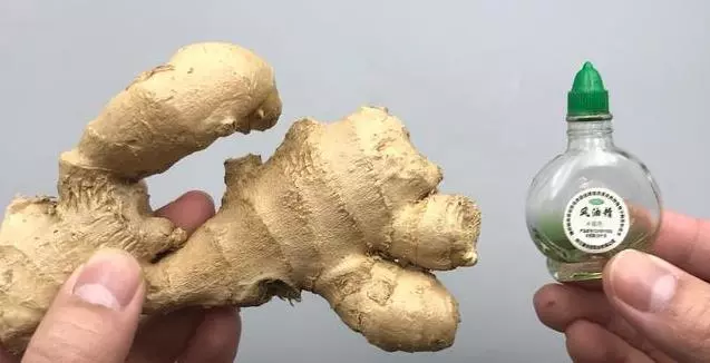 風油精滴生薑上,作用好厲害,解決男女人困擾的難題,一年省下好幾百