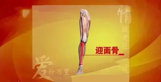 下肢這種疼痛,竟是糖尿病的預警信號!再不重視就晚了