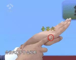 專家演示:這樣搓搓手,氣血足、經絡通,不用開刀吃藥,預防疾病效果好