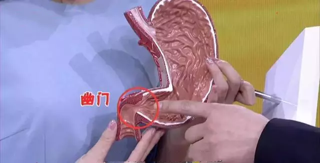 早上吃一種食物最傷胃,再餓也別吃!嚴重甚至導致胃癌,一定要注意