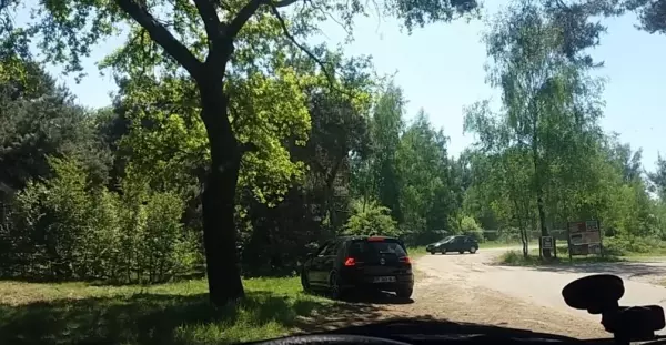 這對夫妻不怕死帶小孩下車危險拍獵豹,竟慘被當成食物!他們全家人眼睜睜看著「獵豹朝自己衝過來」!