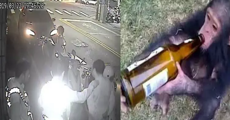 「最噁酒駕男」拒絕臨檢竟然用超噁奧步「OO大噴射」..警察沾全身怒吐一波!網:未開化