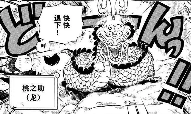 海賊王:多康將成為和之國新的領袖,桃之助上船已成事實
