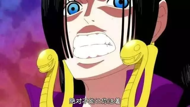 《海賊王》中只有一位女角色被路飛叫過美女,不是娜美也不是女帝