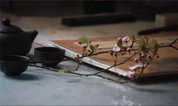 人不善,心不正,吃齋念佛都沒用!(說的太好了)