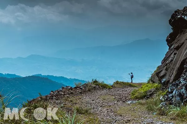 漫遊療癒山林步道!森林系五大微秘境