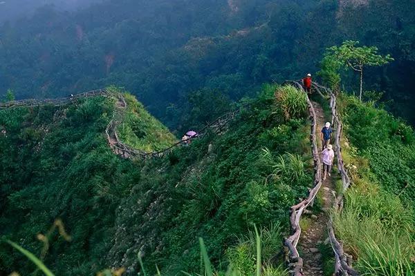 漫遊療癒山林步道!森林系五大微秘境