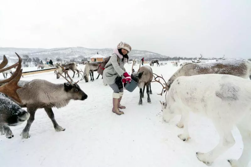 【明星旅遊趣】喬喬、喬爸北歐意外之旅 騎馴鹿、住船屋體驗生活