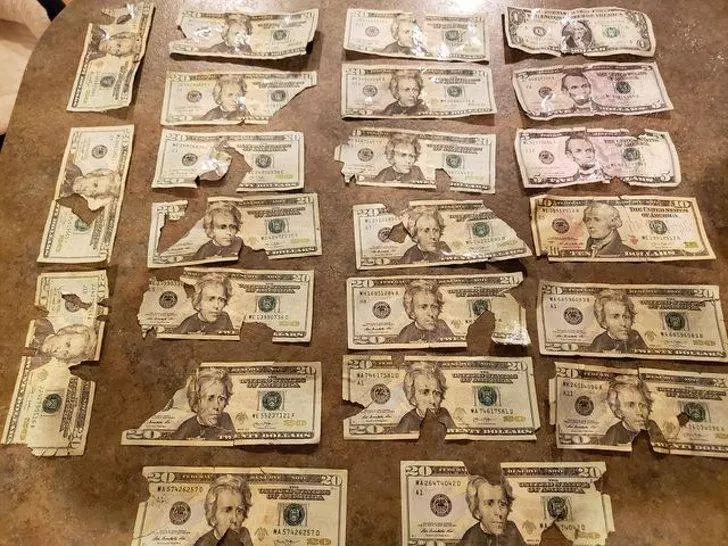刮腿毛卻拆了水龍頭,22張自己都無語的「衰人真事」 頭髮夾進公車扶手太驚悚