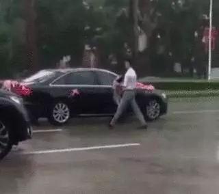 去接新娘的路上遇到淋雨小狗,新郎告訴司機:快停車,新郎與狗出現暖心畫面