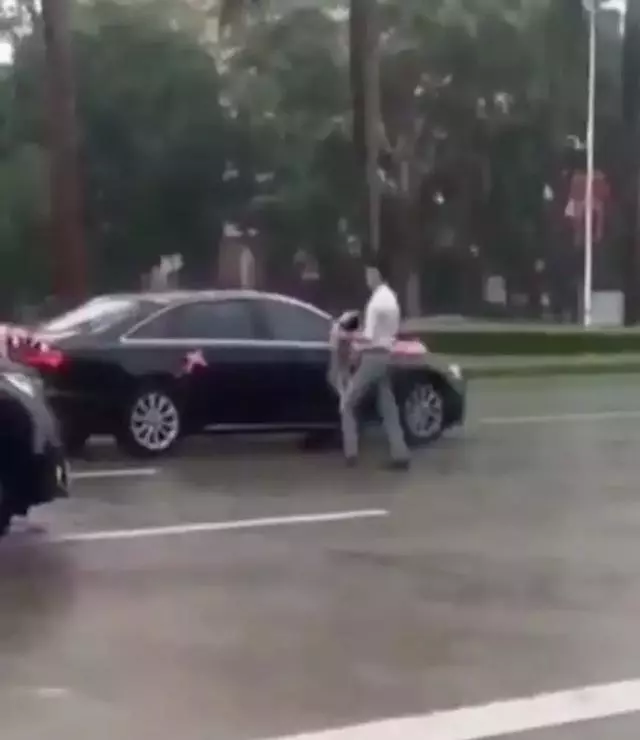 去接新娘的路上遇到淋雨小狗,新郎告訴司機:快停車,新郎與狗出現暖心畫面