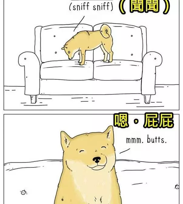 8張動物們內心真實想法爆笑插圖,讓你再也不敢直視你的寵物了