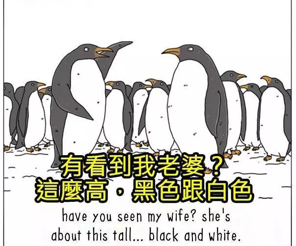 8張動物們內心真實想法爆笑插圖,讓你再也不敢直視你的寵物了